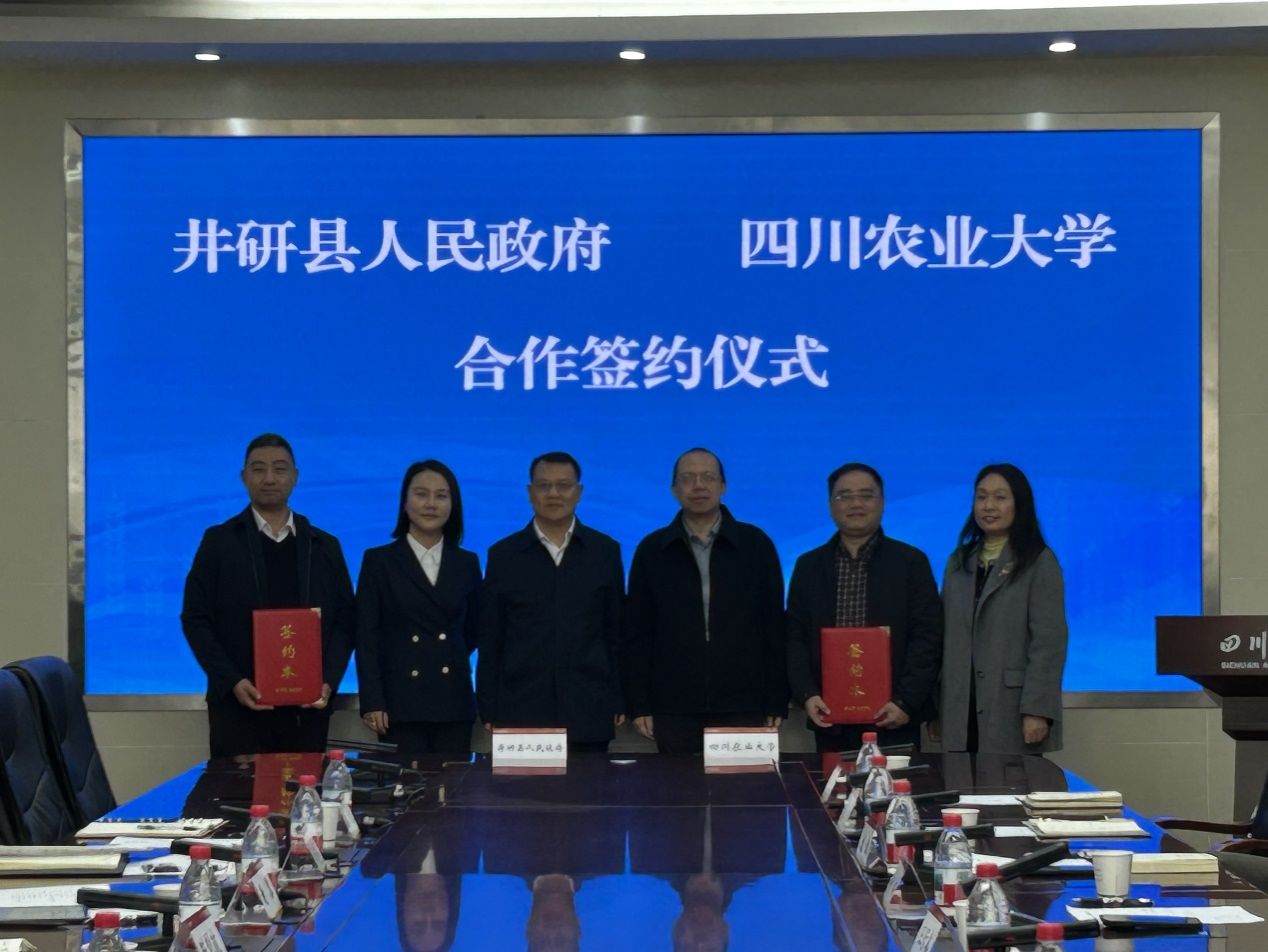 beats365唯一官网入口官网